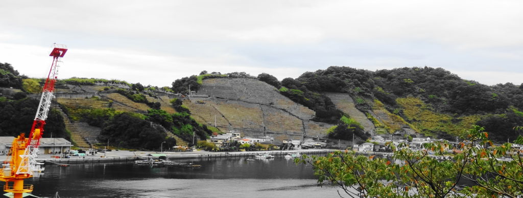 【技術者コラムvol.85】2025年10月20日 遊子水荷浦の段畑にて 1 102a689a2c948b86a4001cb956294f69 2